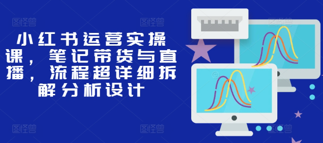 小红书运营实操课，笔记带货与直播，流程超详细拆解分析设计-汇智资源网