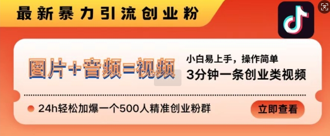 抖音最新暴力引流创业粉，3分钟一条创业类视频，24h轻松加爆一个500人精准创业粉群【揭秘】-汇智资源网