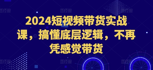 2024短视频带货实战课，搞懂底层逻辑，不再凭感觉带货-汇智资源网