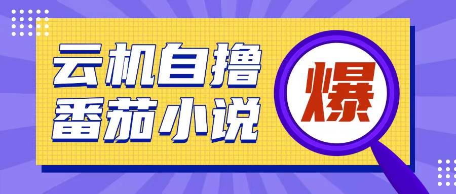 首发云手机自撸小说玩法，10块钱成本可撸200+收益操作简单【揭秘】-汇智资源网