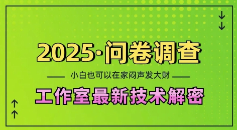 2025问卷调查最新工作室技术解密：一个人在家也可以闷声发大财，小白一天2张，可矩阵放大【揭秘】-汇智资源网