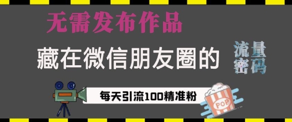 藏在微信朋友圈的流量密码，无需发布作品，单日引流100+精准创业粉【揭秘】-汇智资源网