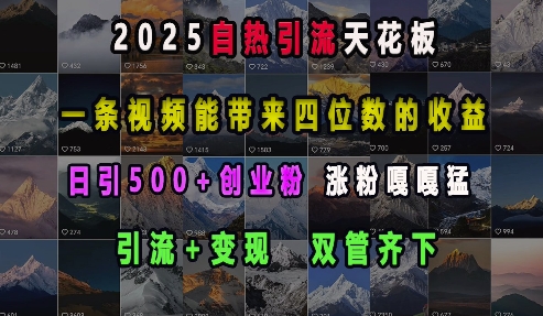 2025自热引流天花板，一条视频能带来四位数的收益，引流+变现双管齐下，日引500+创业粉，涨粉嘎嘎猛-汇智资源网