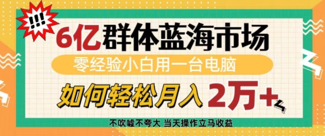 6亿群体蓝海市场，零经验小白用一台电脑，如何轻松月入过w【揭秘】-汇智资源网