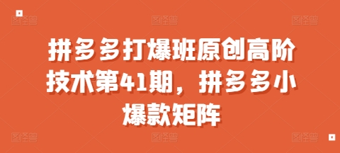 拼多多打爆班原创高阶技术第41期，拼多多小爆款矩阵-汇智资源网