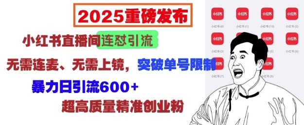 2025重磅发布：小红书直播间连怼引流，无需连麦、无需上镜，突破单号限制，暴力日引流600+-汇智资源网