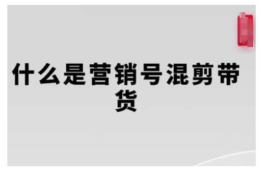 营销号混剪带货，从内容创作到流量变现的全流程，教你用营销号形式做混剪带货-汇智资源网