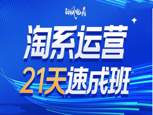 淘系运营21天速成班35期，年前最后一波和2025方向-汇智资源网