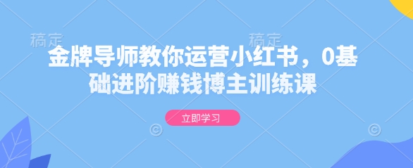 金牌导师教你运营小红书，0基础进阶赚钱博主训练课-汇智资源网