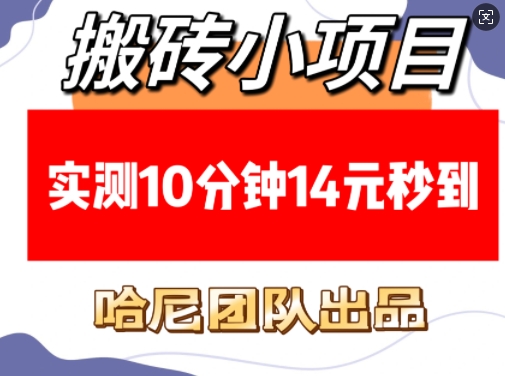 搬砖小项目，实测10分钟14元秒到，每天稳定几张(赠送必看稳定)-汇智资源网