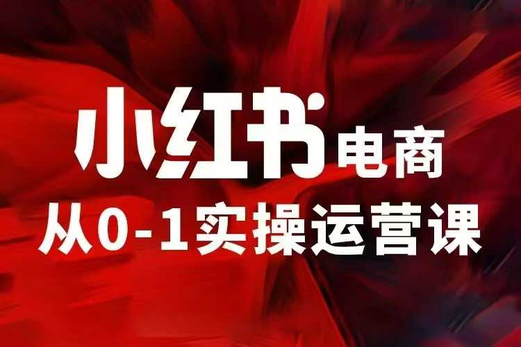 小红书电商运营，97节小红书vip内部课，带你实现小红书赚钱-汇智资源网