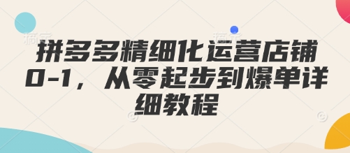 拼多多精细化运营店铺0-1，从零起步到爆单详细教程-汇智资源网